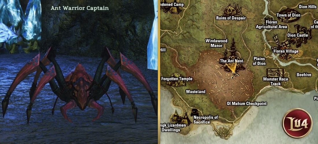 Ant Warrior Captain l2