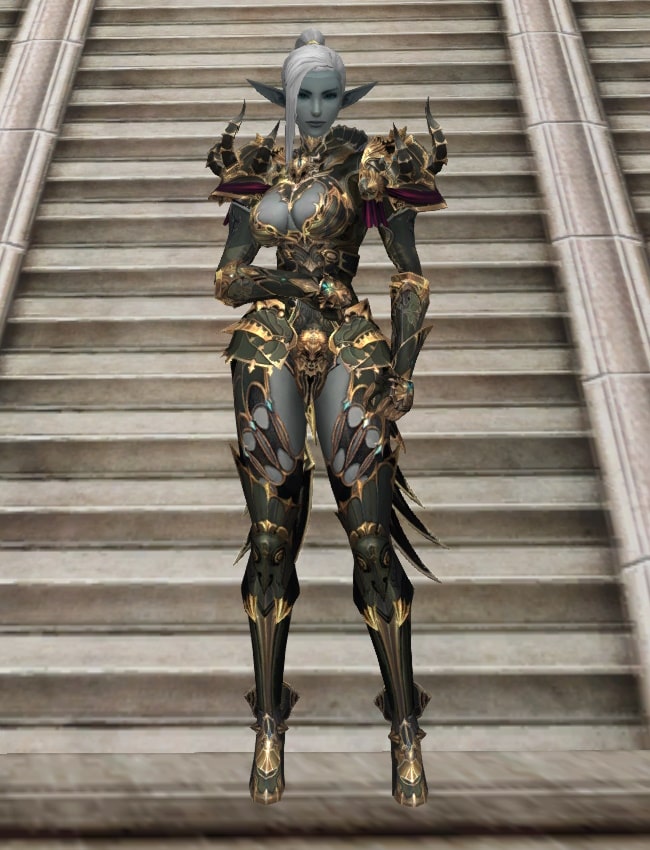 Eternal Peerless heavy armor set l2