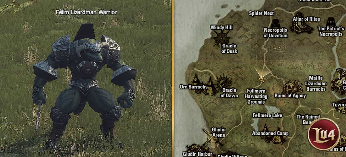 Felim Lizardman Warrior