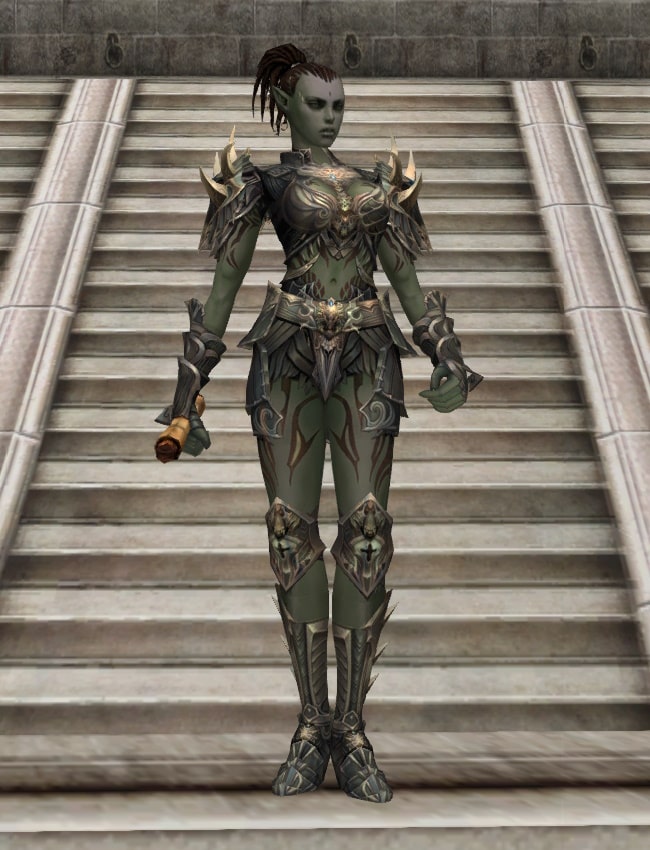 Eternal Peerless leather armor set l2