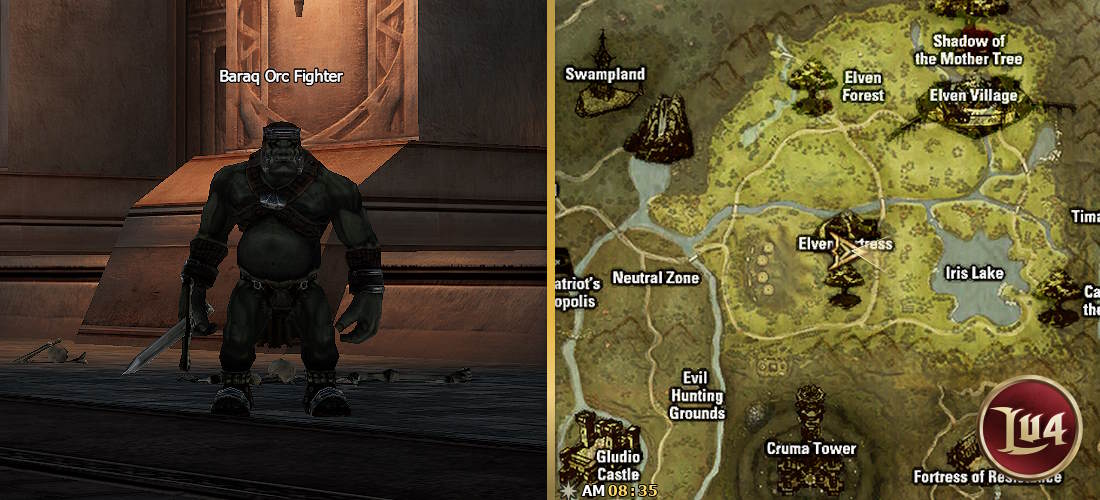 Baraq Orc Fighter