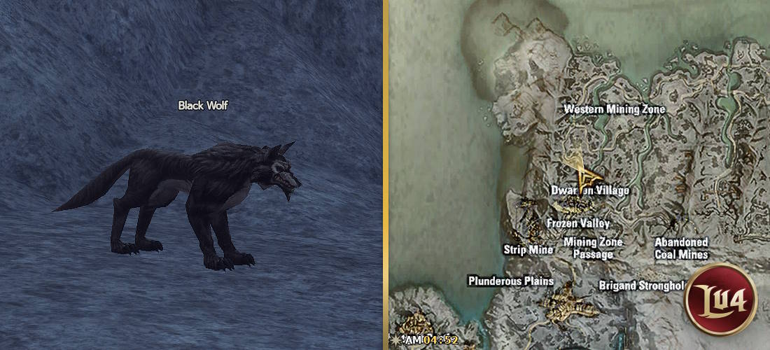 Black Wolf