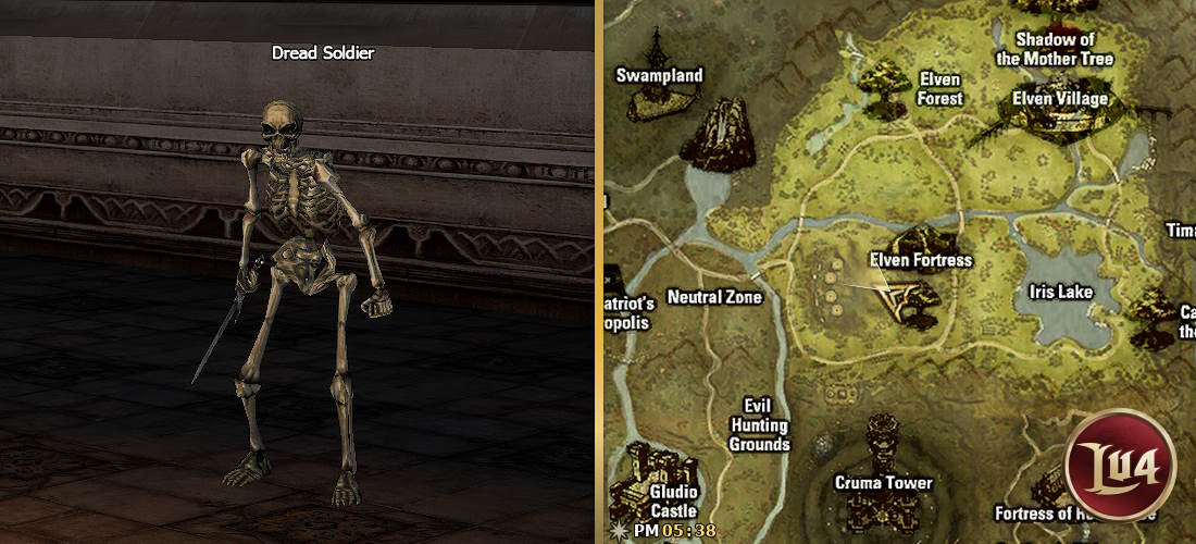 Dungeon Skeleton Dark Terror