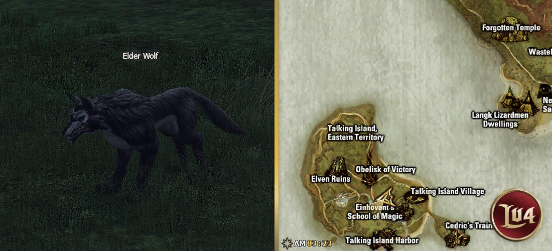 Elder Wolf