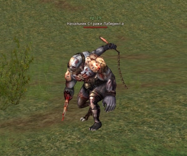 Lost Captain Lv. 29 Lineage 2