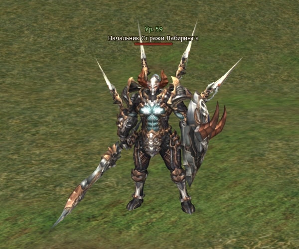 Lost Captain Lv. 59 Lineage 2