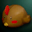 Shadow Item: Refined Chick Hat