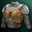 Unidentified Lion Skin Shirt