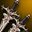 Exalted Dual Dagger